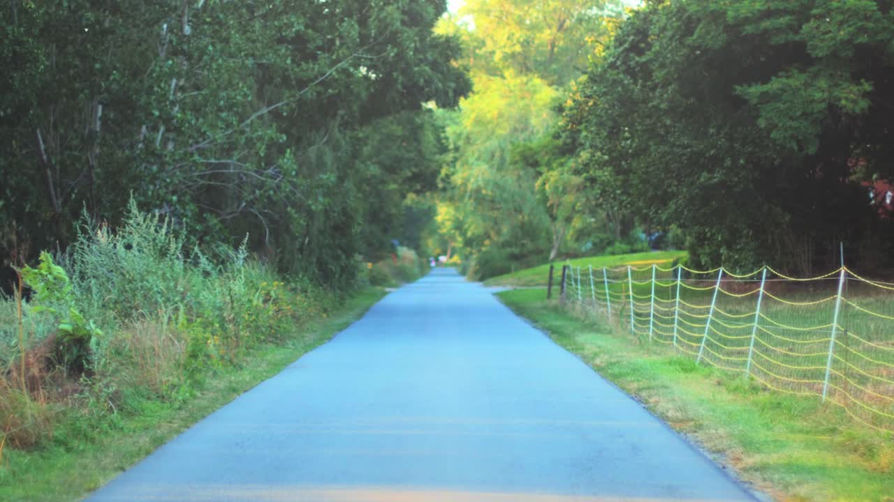4K Smooth shot of a country road during golden hour with trees and grass beside the road.