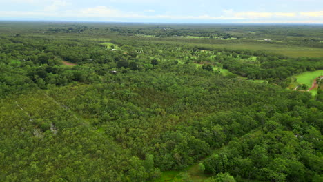dron aéreo de más de un bloque de bienes raíces cubierto de árboles en la zona rural de darwin, australia