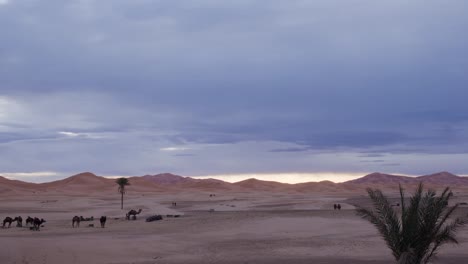 merzouga amanecer 02