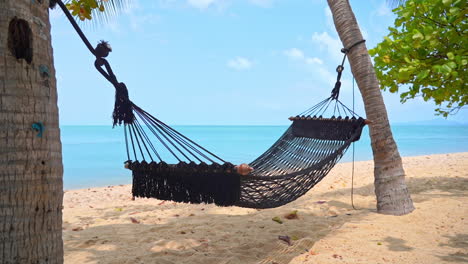 an empty woven hammock hung between two palm trees sways in a light breeze