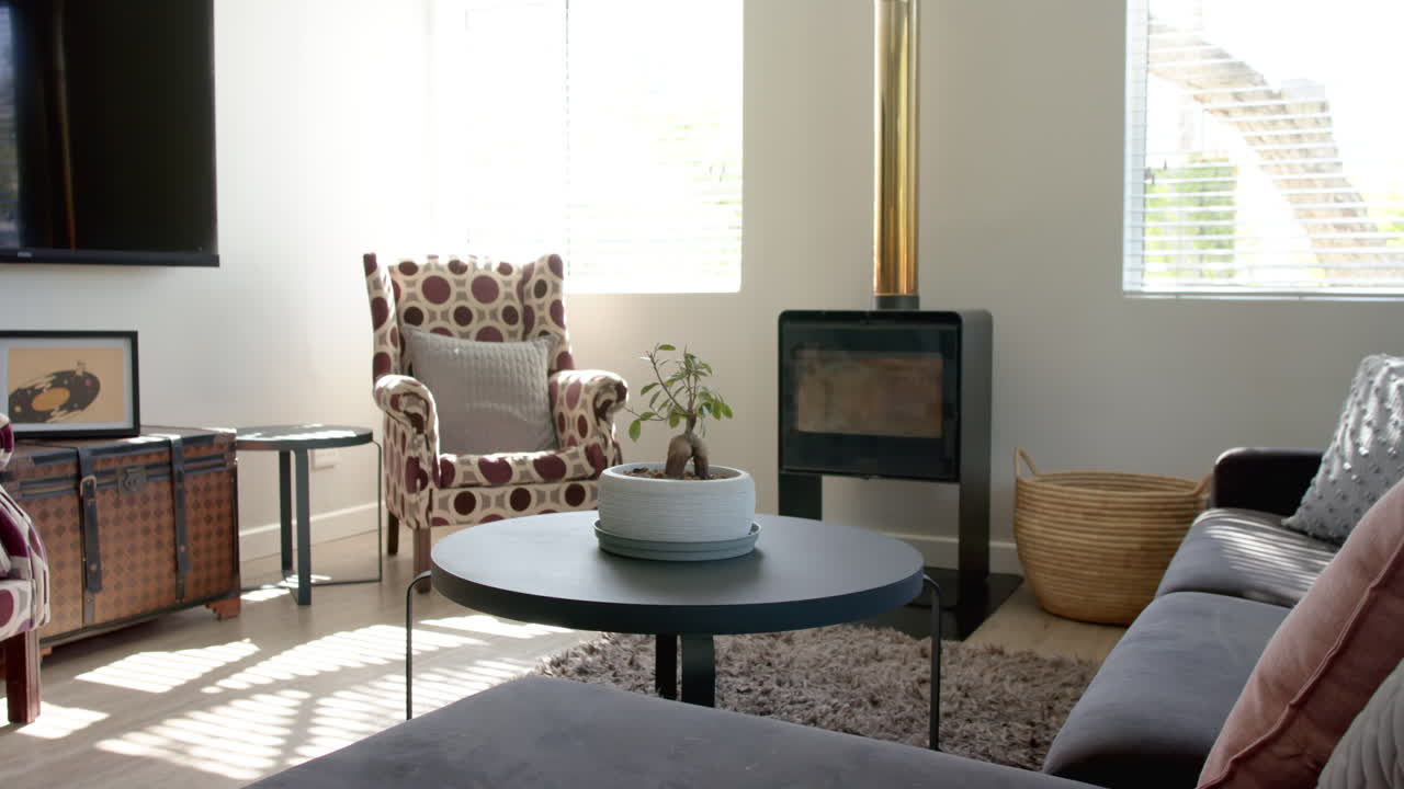 Living room with retro armchair, modern fireplace, and potted plant on coffee table