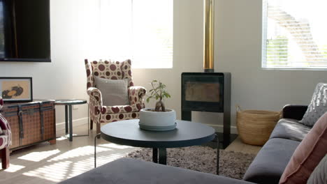 living room with retro armchair, modern fireplace, and potted plant on coffee table