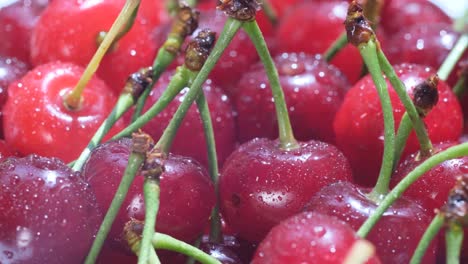 close-up of fresh red cherries
