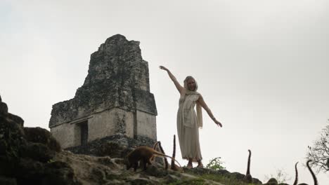 a woman walks among coatis near temple ii, an ancient mayan pyramid in the tikal national park, petén, guatemala.