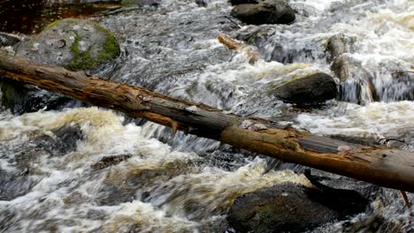 fast mountain river