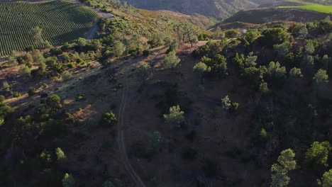 Aerial-rise-pull-back-over-mountain-side-to-reveal-vineyards-in-the-Napa-Valley