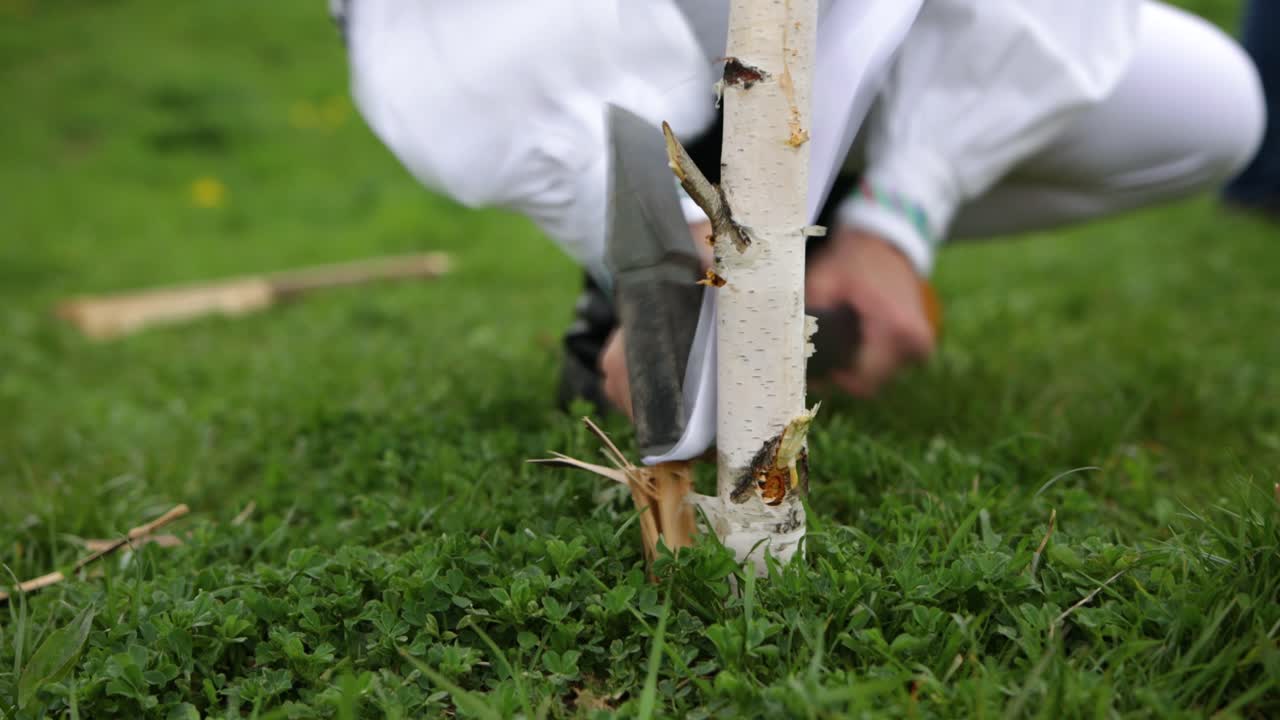 martillando poste de madera en hierba, ángulo bajo, cerrar