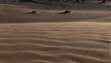 slow motion sand blowing in a desert