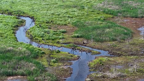 aerial drone view of a winding stream flowing through a lush green marshland