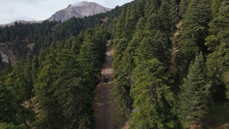 aerial fly through follows car driving between conifer forest dirt road in agrafa greece