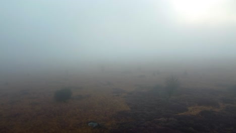 heavy fog over rural fields, aerial drone ascend view