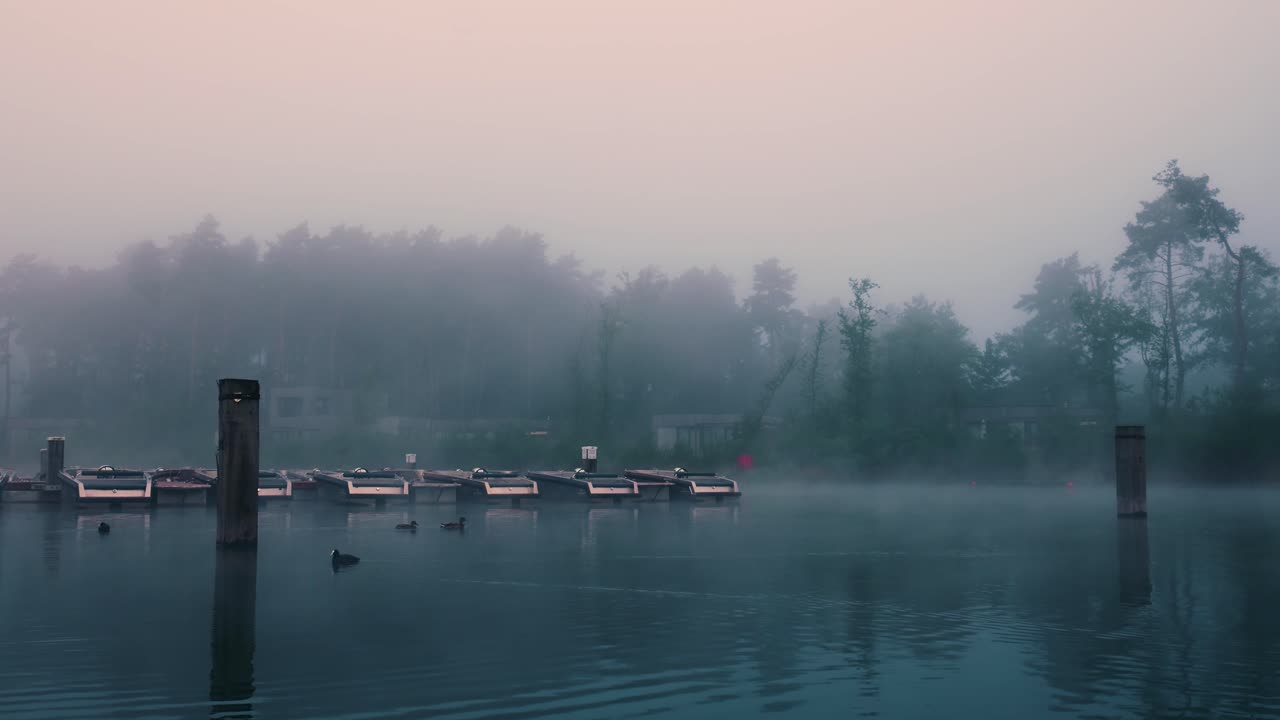 호수  항구 에서 안개 가 가득 한 아침