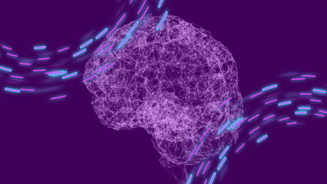 animación del cerebro humano, senderos de luz y procesamiento de datos