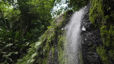 Toma-En-Cámara-Lenta-De-Gotas-De-Agua-Provenientes-De-Una-Cascada-En-Una-Jungla-En-Puerto-Rico