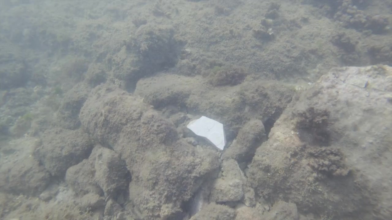 Rifiuti di plastica che contaminano l'ambiente sottomarino, mostrando danni ecologici e spazzatura marina sul fondale.