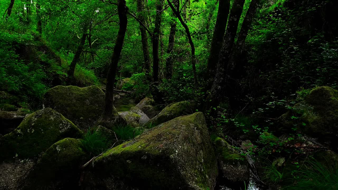 cascada en las montañas entre la selva