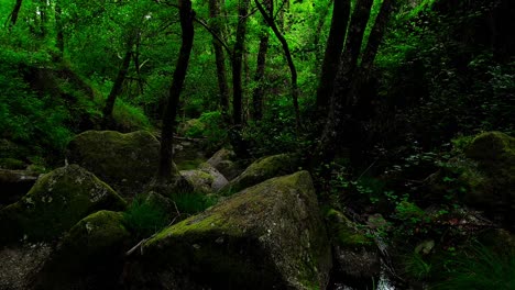 Cascada-En-Las-Montañas-Entre-La-Selva