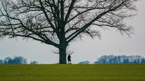 person standing by a tree during a misty, hazy, sunset in winter - time lapse