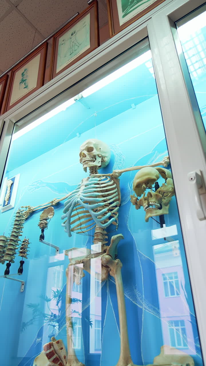 Interior of medical museum