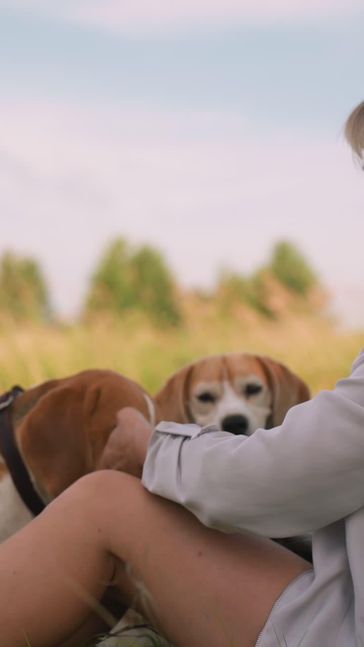 잔디에 앉아있는 여자가 손을 움직여서 두 개와 놀이하게 상호 작용하고 개들은 반응으로 움직입니다. 개들은 호기심이 많고, 줄을 착용하고, 그녀의 손의 움직임을 주의 깊게 따르고 있습니다.