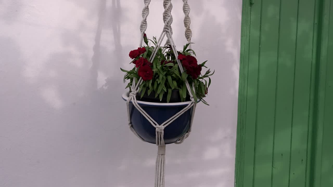 En potte med røde blomster hænger fra et reb ved siden af en grøn dør. De klare farver skiller sig ud i udendørsområdet. Sollys skaber blide skygger på væggen.