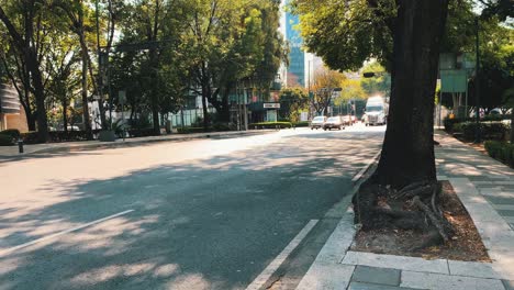 timelapse in a huge avenue in mexico city