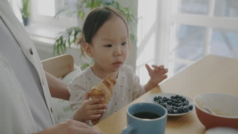 toddler eating croissant for breakfast