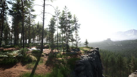 Tiefe-Skandinavische-Wälder-An-Einem-Spätsommerabend