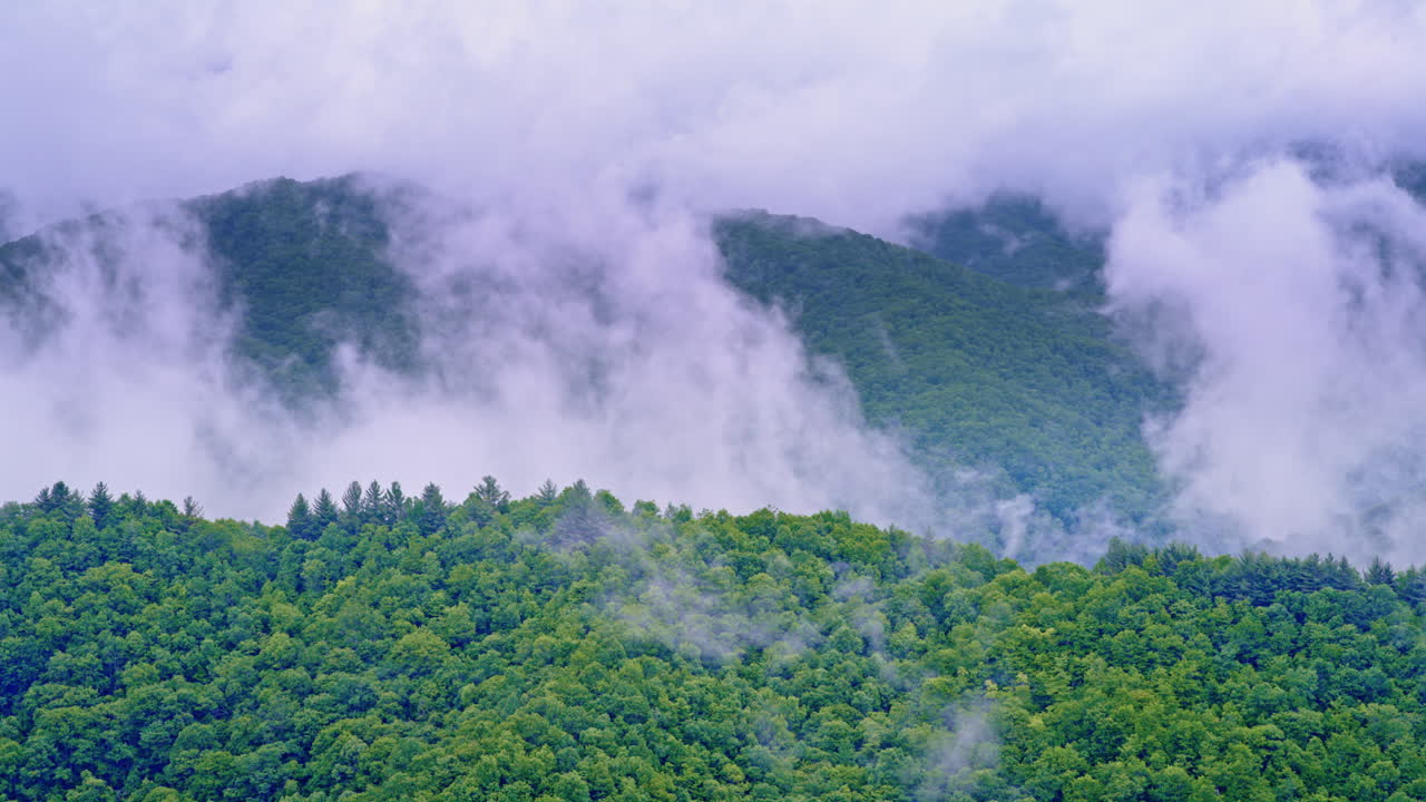Fog hugs the slopes of the Smokies in this cinematic drone shot
