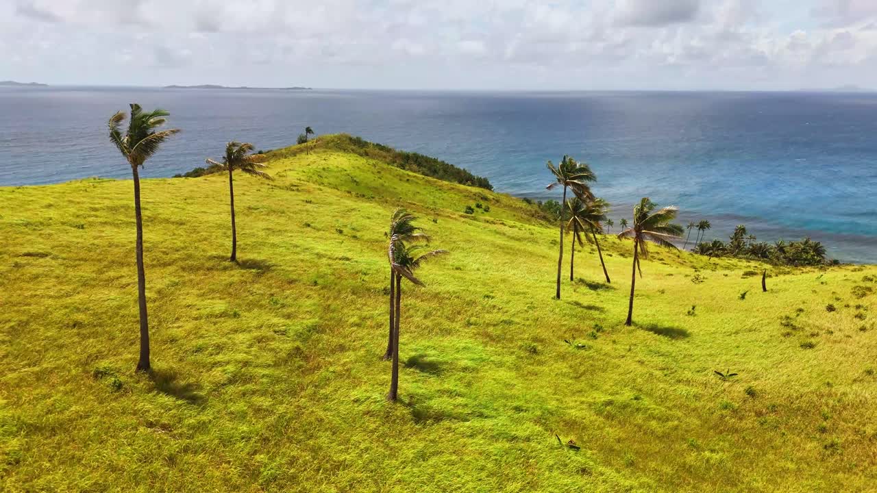 Grassy hilltop with palm trees swaying in strong wind, overlooking deep blue ocean on Corregidor Island, Siargao Islands, Philippines, with distant islands visible on the horizon under cloudy skies