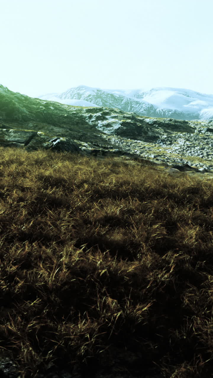 paisaje montañoso nevado con campo cubierto de hierba