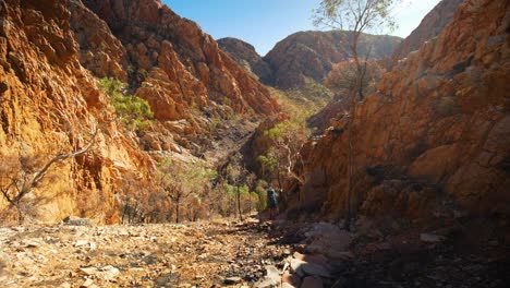 Tilt-up,-hiker-walks-through-rocky-gap,-Central-Australia