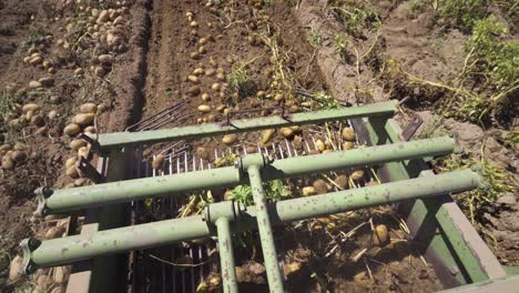 potato removal from the soil, potato harvest.