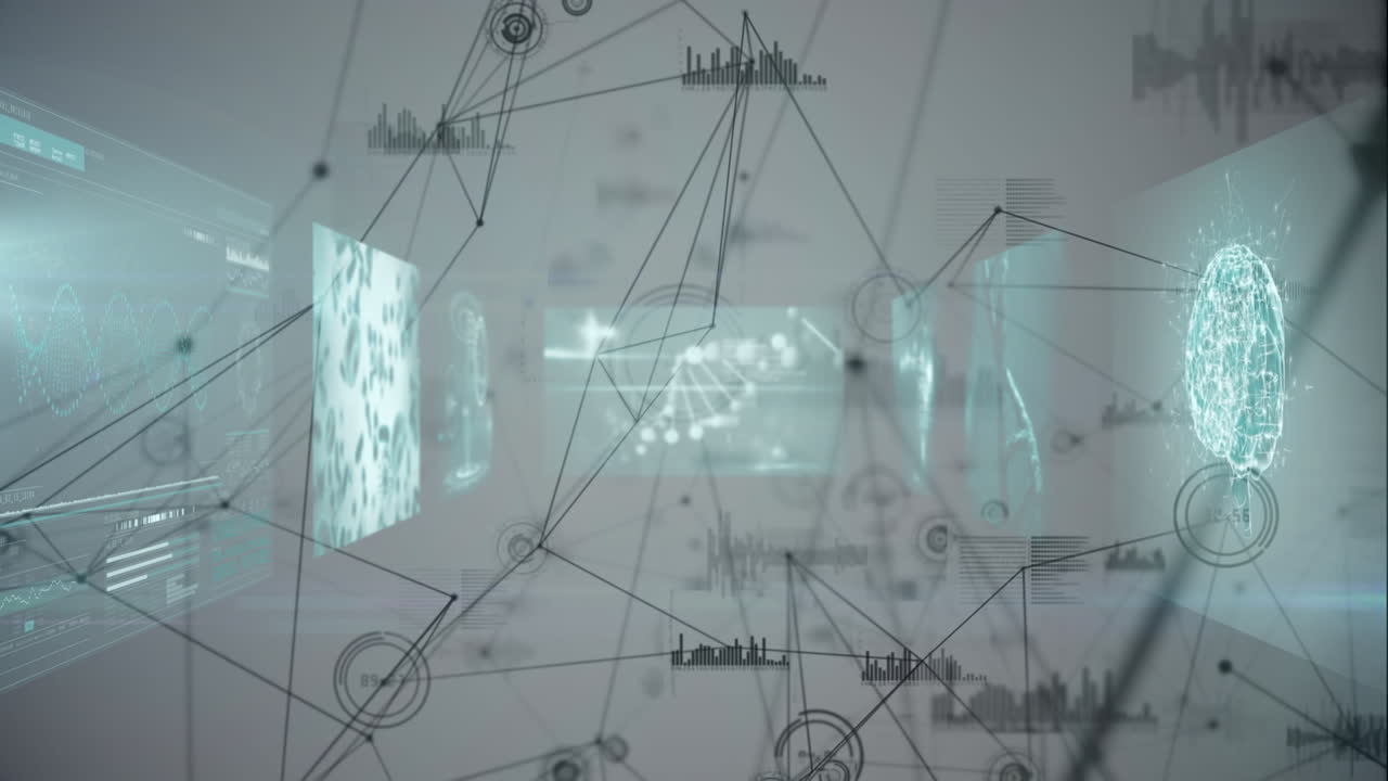 데이터 프로세싱을 통한 연결 네트워크의 애니메이션