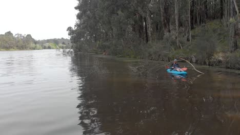 A-bearded-man-going-under-a-submerged-tree-on-the-banks-of-a-river-in-southern-Australia