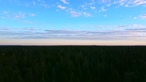 Morning-Sky-Over-Apache-Sitgreaves-National-Forests