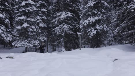 Fotógrafo-En-El-Parque-Nacional-De-Banff,-Paisaje-Invernal,-Nevadas,-4k