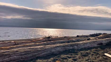 peaceful beach timelapse at sunrise with moving clouds and driftwood in the foreground
