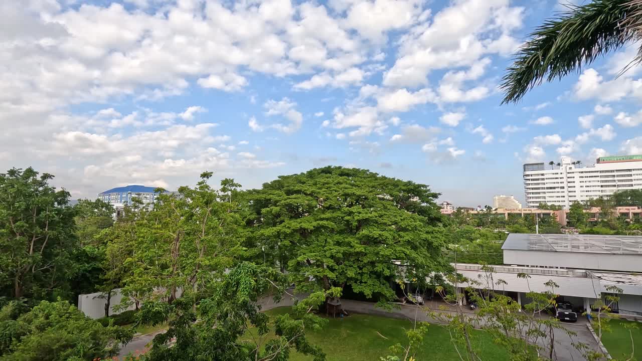 도시 공원 환경 에서 울창 한 초록색