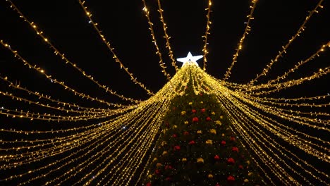 árbol-De-Navidad-Iluminado-Por-La-Noche_disparo-Distante