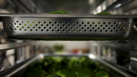 broccoli in a metal colander on a shelf, indoor, shallow depth of field, focus on foreground