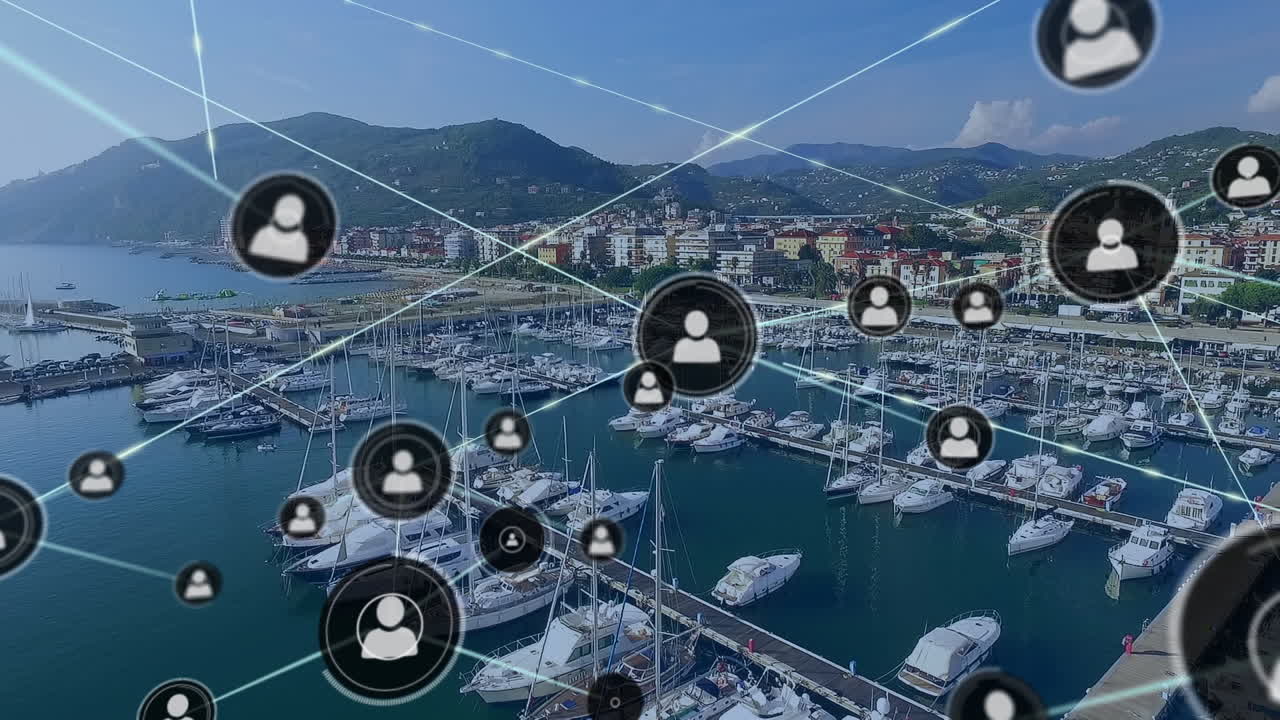 animación de redes de conexiones a través de muelles