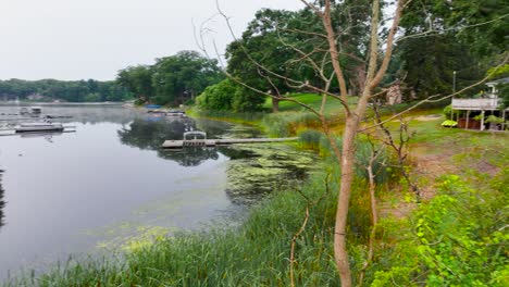 Zona-Pantanosa-En-Muskegon-Con-árbol-Muerto-Sobresaliendo