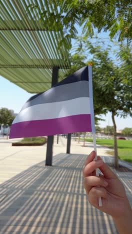 asexual pride flag waving proudly in the wind