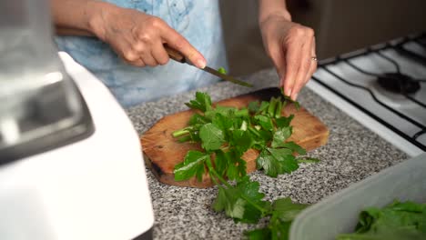 fresh green parsley leaves cut for making healthy green juice