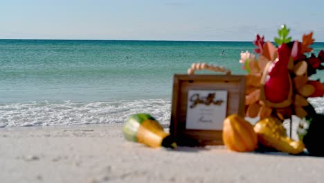 Thanksgiving-decorations-turkey-on-a-beach-on-a-sunny-winter-day