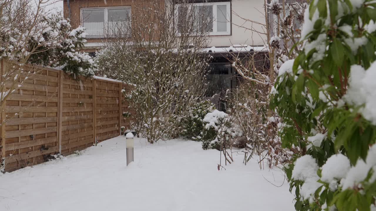 정원에서 눈이 내리는 모션 샷