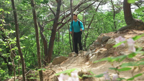 Sporty-Man-Hiker-Using-Trekking-Poles-Walking-Up-Hill-on-Mountain-Forest-Trail