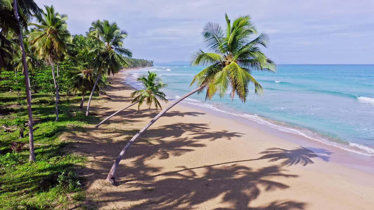 toma aérea de palmeras tropicales, playa de arena dorada vacía y mar caribe transparente y tranquilo durante el día soleado