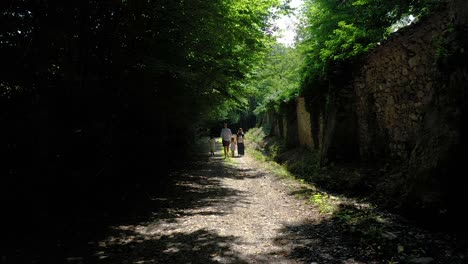 Caminar-Con-Los-Niños-Rodeados-De-Naturaleza,-Bajo-Los-árboles-Del-Parque